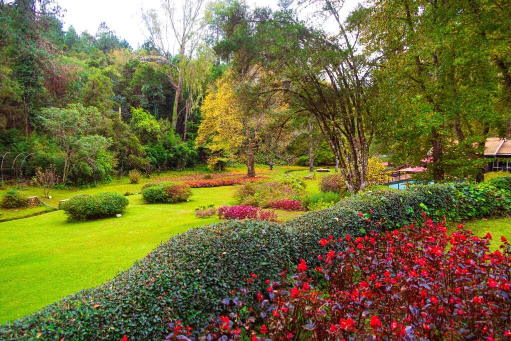 Passeio Botânico no Parque Bambuí convida visitantes a descobrir os jardins de Rosa Kliass em Campos do Jordão 1 1000969969